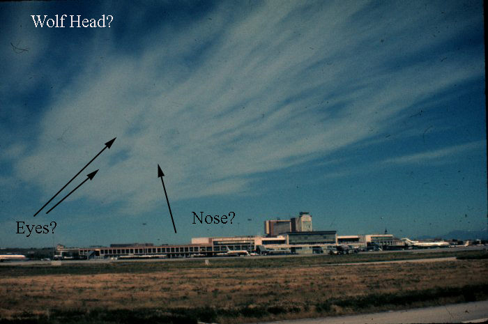 Nadrid Sylph with text